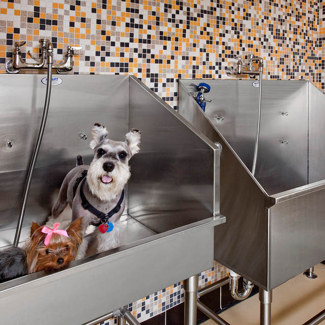 to Our Apartments for Rent in Waldorf MD Home